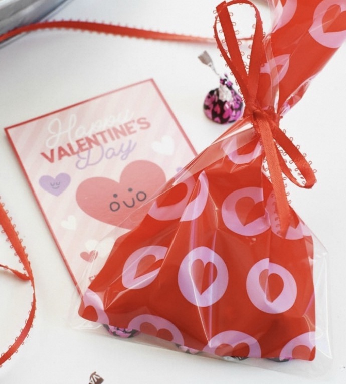 valentine's day gift bags for school